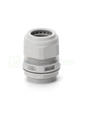 Presetupă - metrică cu contrapiuliță din polietilenă filet PG-29 - Scame 805.3346