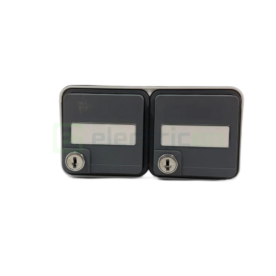 Priză 2P+E, dublă cu capac opac, aplicat, cu port etichetă și cheie, orizontală, IP55, Berker W1, Hager, 47893525