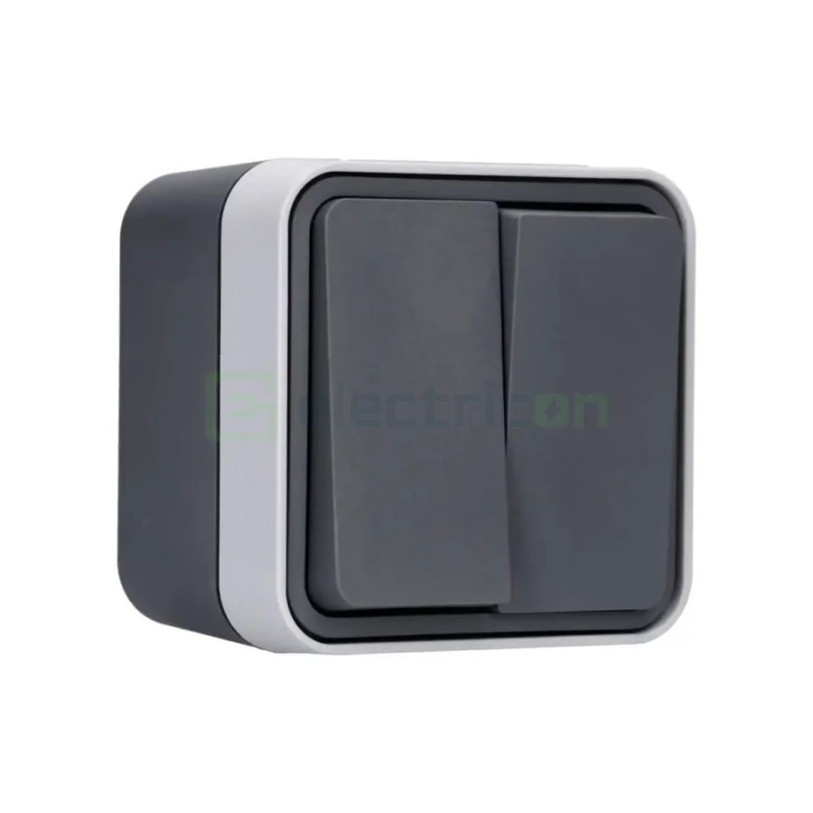 Întrerupător dublu - 10AX 250V exterior gri IP55 - Berker W.1 30753505